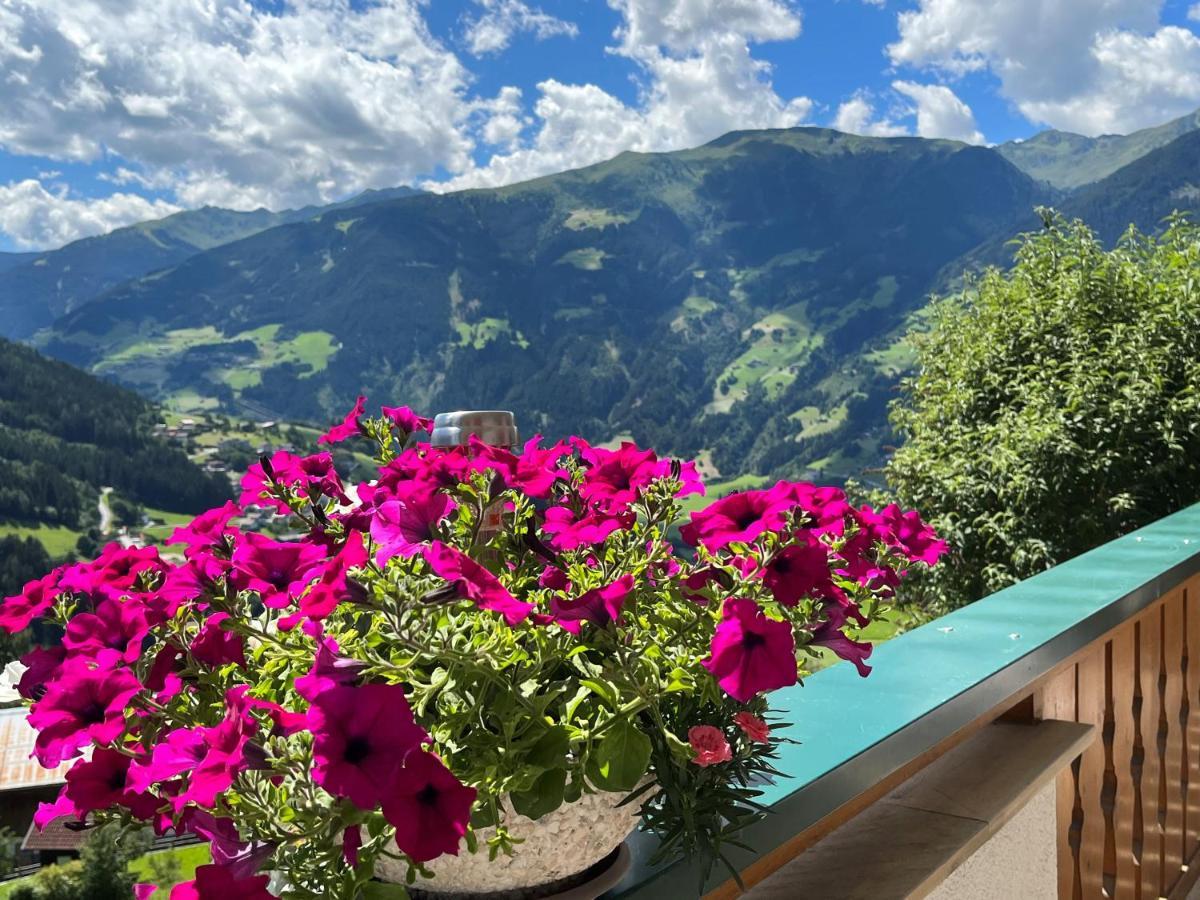 Landhaus Hoellwarth Zell am Ziller Exteriér fotografie