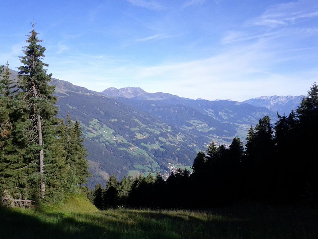 Landhaus Hoellwarth Zell am Ziller Pokoj fotografie